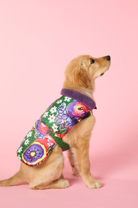 Gorman - Petal Palette Dog Puffer - print