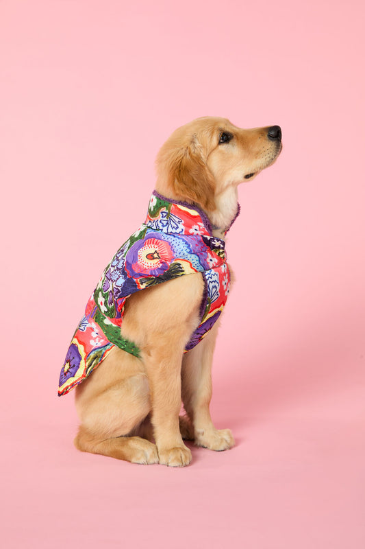 Gorman - Petal Palette Dog Puffer - print