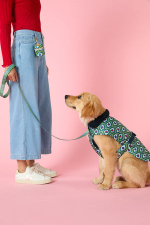 Gorman - Mosaic Flower Pet Gift Set - print