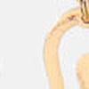 Sunny Skies Earrings