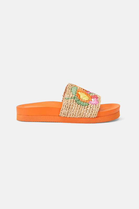 Gorman - Monte Carlo Slide - multi